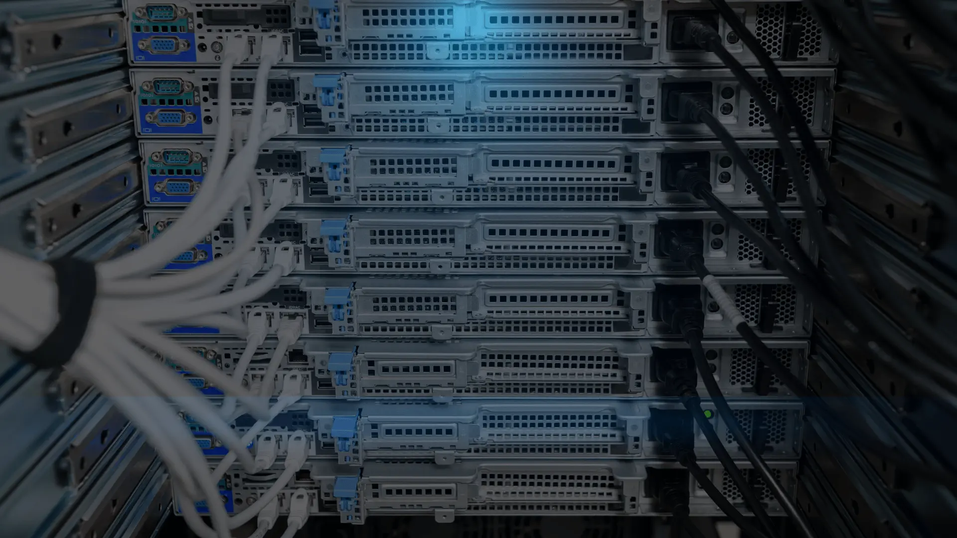 Networking & Servers